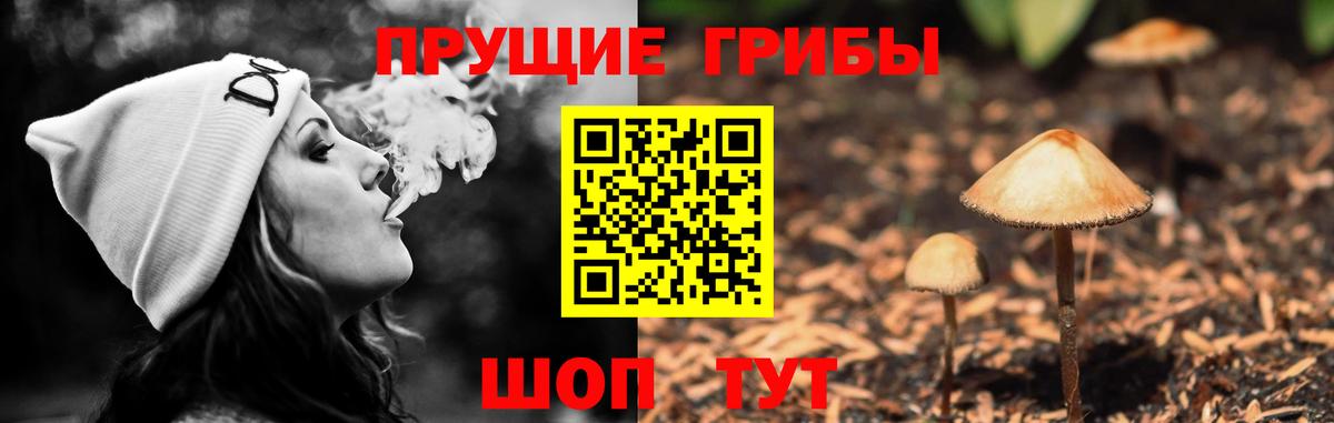 Псилоцибиновые грибы мицелий Новоуральск
